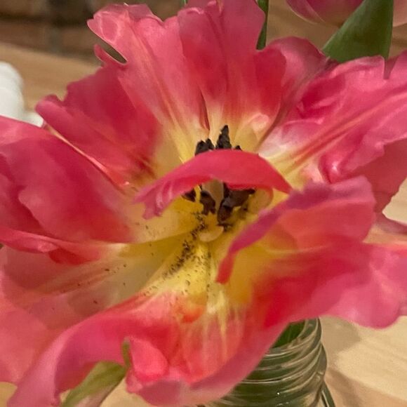 Stop and Smell the Flowers 🌷 - Picture 2 of 6